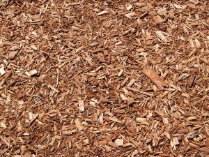 Read more about the article Mulch