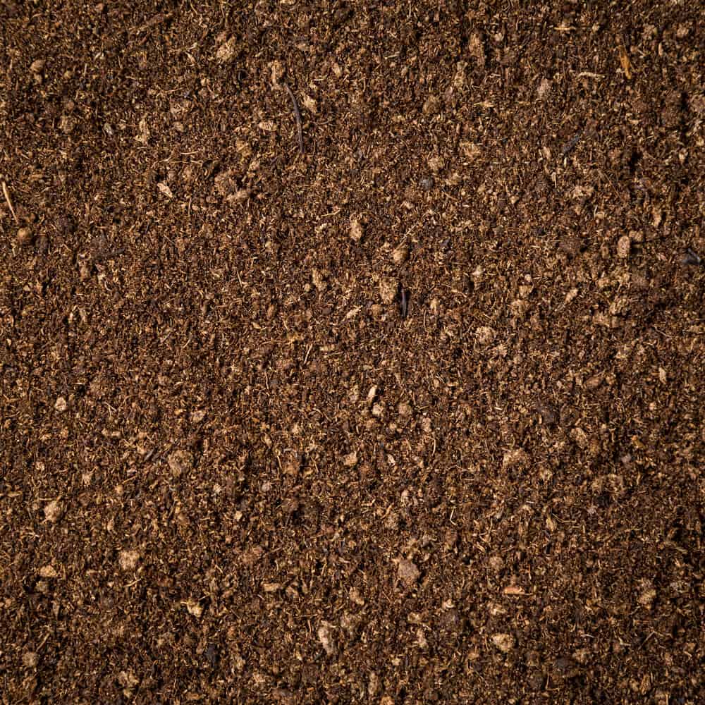 Read more about the article Soil