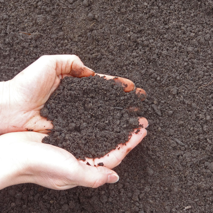 Read more about the article Screened Topsoil